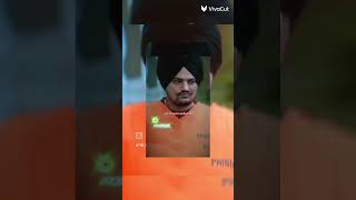 Drippy X sidhu moose wala legend viralshort justicforsidhumossewala [upl. by Audy]