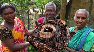 Elephant foot and Rupchanda fish curry  picking and cooking elephant foot from garden amp cooking [upl. by Aisad]