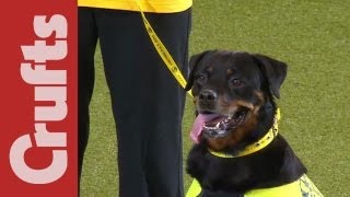 PAT Dog Of The Year Presentation  Crufts 2012 [upl. by Oluap470]