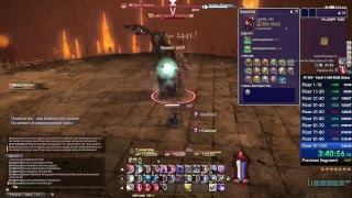 Angelus  FFXIV PoTD  Speed Run 1100 Solo RDM  Starting at Floor 1 [upl. by Cohin]