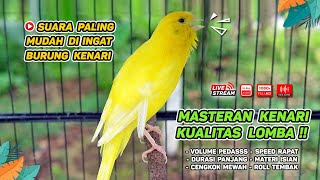 Kenari GACOR‼️ Masteran Burung Kenari PAUD dan Pancingan Kenari MACET BUNYI  EPISODE 666 [upl. by Enar]