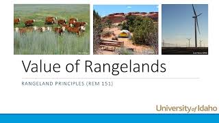 Values of Rangelands2021 [upl. by Sara]