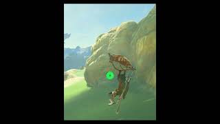 Zelda Breath Of The Wild BOTW shorts 424 [upl. by Mastat]