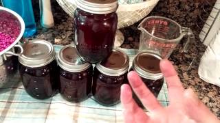 Beautyberry jelly recipe [upl. by Grath245]