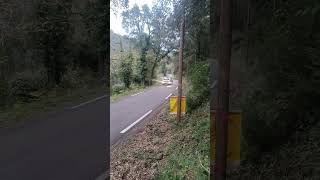 rallye du var  1 Léo Rossel [upl. by Biddy386]