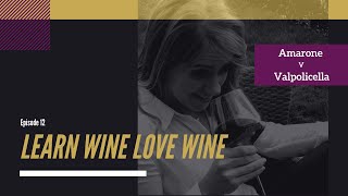 Learn Wine Love Wine Episode 12  Amarone V Valpolicella [upl. by Rey]