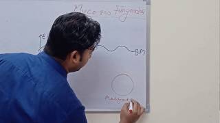 Mycosis Fungoides and Sezary Syndrome [upl. by Oemac]