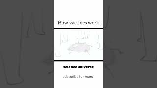 How vaccine works  funnyshorts biology 1million viralshorts [upl. by Grogan]