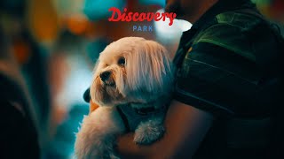 Łeba  Discovery Park  2022  PROMO VIDEO [upl. by Black948]