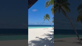 Angaga Island Resort and Spa Maldives maldives beach amazing [upl. by Minardi10]