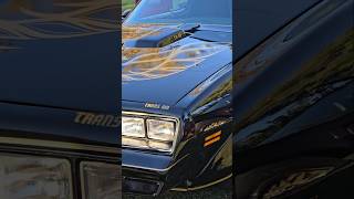 2 clean Trans Ams transam bandit Pontiac smokeyandthebandit musclecar classiccars [upl. by Glenda208]