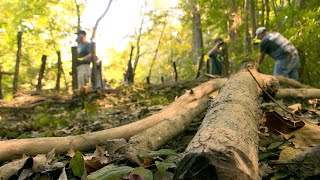 MSD Community Benefits  Beaver Dam Analog Project at Bernheim Forest and Arboretum [upl. by Lorens]