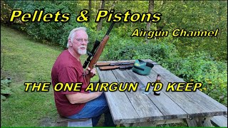 IF I COULD ONLY KEEP ONE AIRGUN [upl. by Brote]