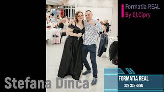 Stefana Dinca amp Formatia REAL din Torino  colaj manele live [upl. by Pollak]