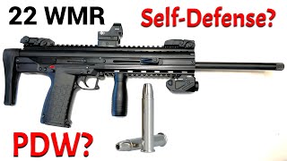 22 WMR for Self Defense CMR30 [upl. by Aneekas]