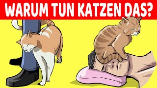 15 Seltsame Verhaltensweisen Von Katzen Endlich Erklärt [upl. by Marutani]