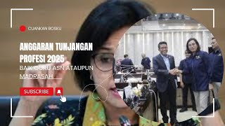 PENJELASAN MENTRI KEUANGAN TENTANG TUNJANGAN PROFESI GURU DIDEPAN KOMISI XI DPR RI [upl. by Ellery]