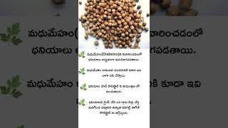 Coriander Health benefits [upl. by Davina]