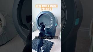 Litter Robot 4 Review after nearly 3 months of use with 2 cats Part1 [upl. by Dnalsor301]