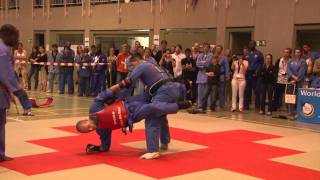 Combat Ukraine Maksim VS France Dinh Hoang  World Cup of Vovinam Viet Vo Dao  Germany 2010 [upl. by Asi478]