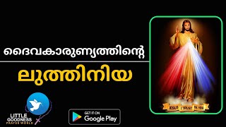 ദൈവകാരുണ്യ ലുത്തിനിയ  DIVINE MERCY LITANY IN MALAYALAM [upl. by Noemis727]