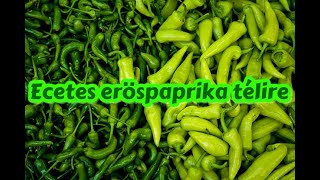 Retro konyha  ecetes erős paprika recept télire savanyúság [upl. by Blas]