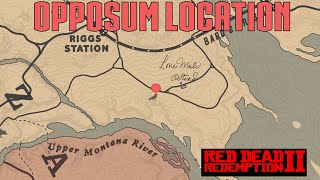 RDR2  Opossum Location Guaranteed [upl. by Einimod2]