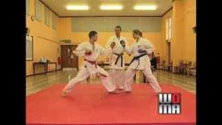 Sport Karate Rules amp Scoring [upl. by Ocinemod]