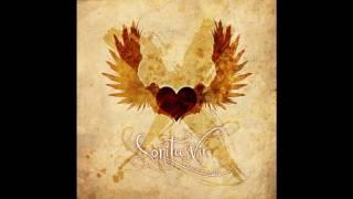 Sonitus Vir  Heartmender full album [upl. by Nwahsd]