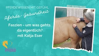 Faszien  worum gehts da eigentlich bei meinem Pferd Mit Katja Eser [upl. by Asiil]