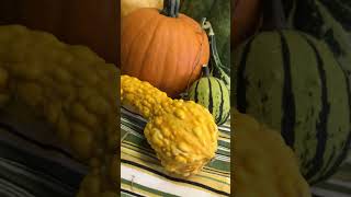 Fall Fair 2024 Vancouver Island urbanfoodforest gardeningfood [upl. by Tuckie118]