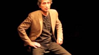 Gabor Mate Answers Questions About Ayahuasca [upl. by Latini]