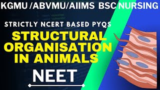 Structural organisation in Animals  PYQs neet bscnursing kgmu BSc Nursing [upl. by Lebasiairam]