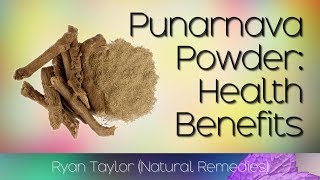 Punarnava Powder Benefits and Uses [upl. by Esbensen690]