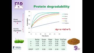 FAR Module 4 2 Ruminant Nitrogen [upl. by Yalonda]