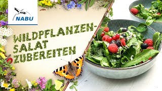 Rezept für sommerlichen Wildpflanzensalat [upl. by Anihtyc]