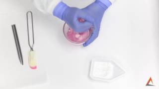 Compounding Tips  Geometric Dilution [upl. by Enamrahs]