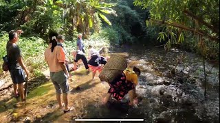 We Go Catching Crabs in Ban Nai Soi 2023 [upl. by Enicar]