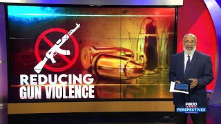 Perspectives Reducing Gun Violence [upl. by Nossila213]