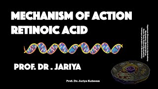 RETINOIC ACID MECHANISM OF ACTION [upl. by Reh]