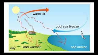 Land Breeze amp Sea Breeze Offshore amp Onshore winds [upl. by Dowell]