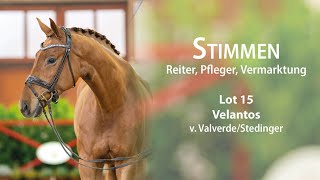 WinterAuktion Stimmen des Teams Lot 15 Velantos Wallach v Valverde  Stedinger [upl. by Hako]