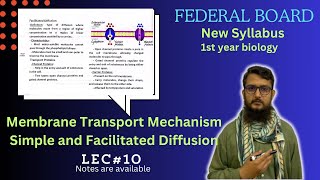 Simple Diffusion  Facilitated diffusion  Membrane transport Mechanism  class 11 [upl. by Aynor]