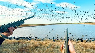 4 RAINOUTS 100 GEESE ON TEXAS LOAF POND [upl. by Anaile720]