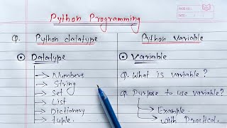 Python Datatypes and Variables  Learn Coding [upl. by Enna100]