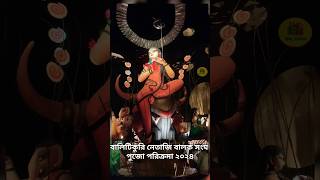 Pujo parikrama howrah Netaji songha 💥 shorts youtubeshorts pujoporikroma [upl. by Nare301]