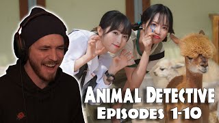 Choi Yena  Animal Detective Eps 110  Reaction [upl. by Eleets667]