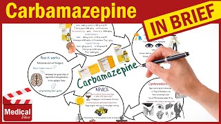 Carbamazepine Tegretol What is Carbamazepine Uses Dosage Side Effects Mechanism of Action [upl. by Bauske66]