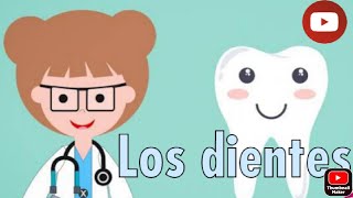 Conoce todos sobre tus DIENTES 🦷🦷🦷🦷🦷VIDEO EDUCATIVO [upl. by Yci]