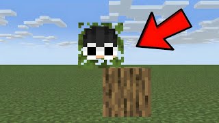 I Shapeshift to Cheat in Minecraft Hide and Seek [upl. by Dixil356]